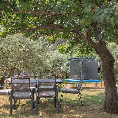 Apartman Olea Пула Екстериор снимка